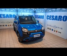 FIAT New Panda 1.0 firefly hybrid Cross s&s 70cv 5p.ti