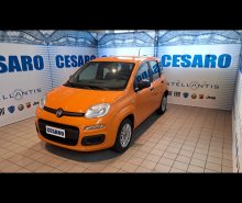 FIAT New Panda 1.2 69cv Easy s&s