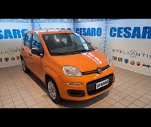 FIAT New Panda 1.2 69cv Easy s&s