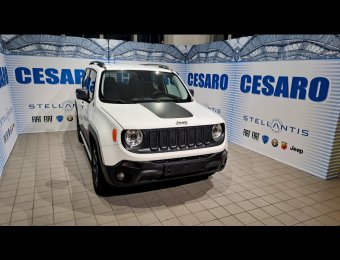 JEEP Renegade 2.0 mjt Trailhawk 4wd 170cv auto