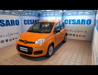 FIAT New Panda 1.2 69cv Easy s&s