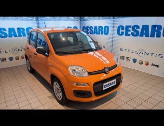 FIAT New Panda 1.2 69cv Easy s&s